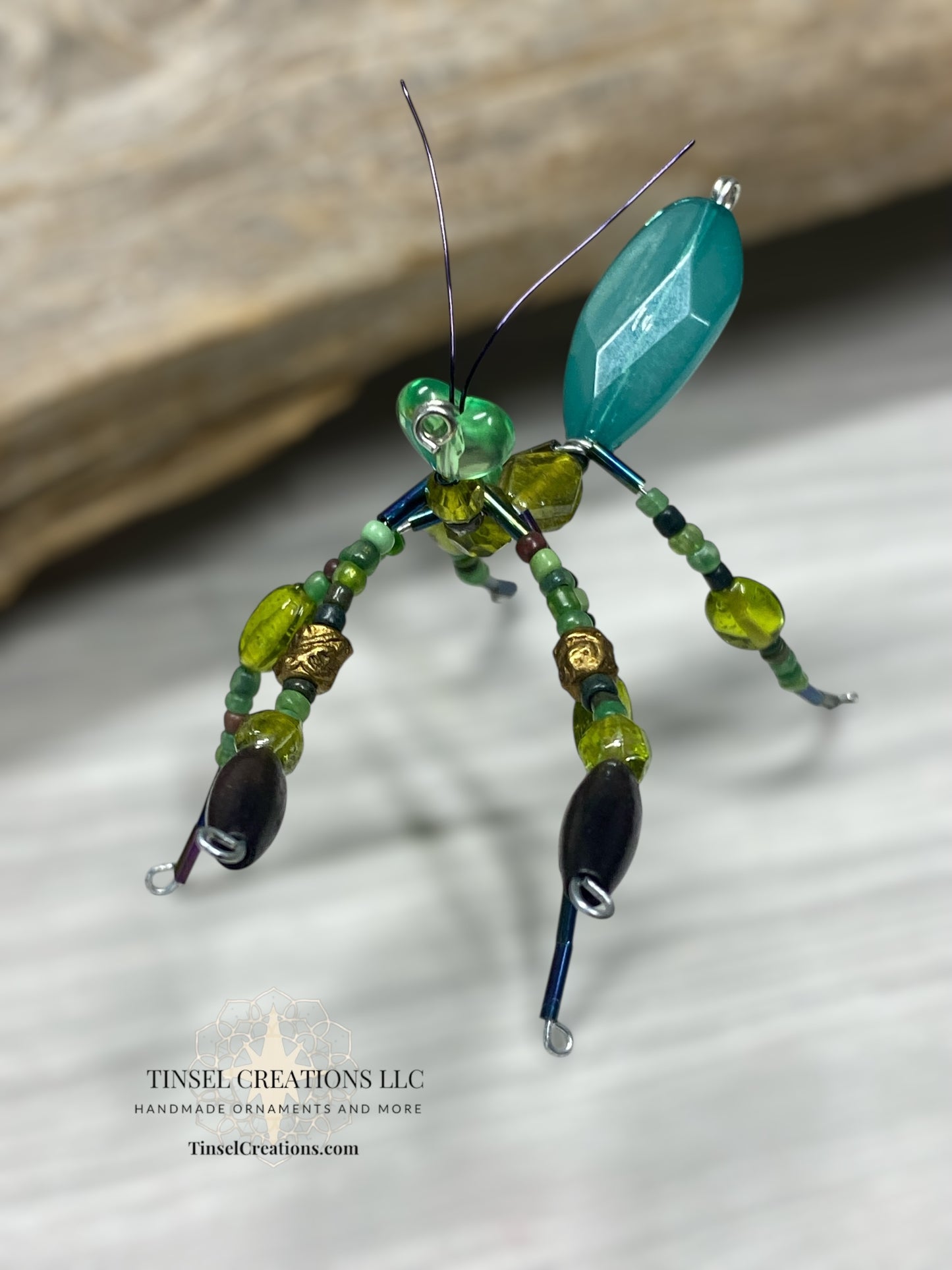 Brown morph Green Mantis