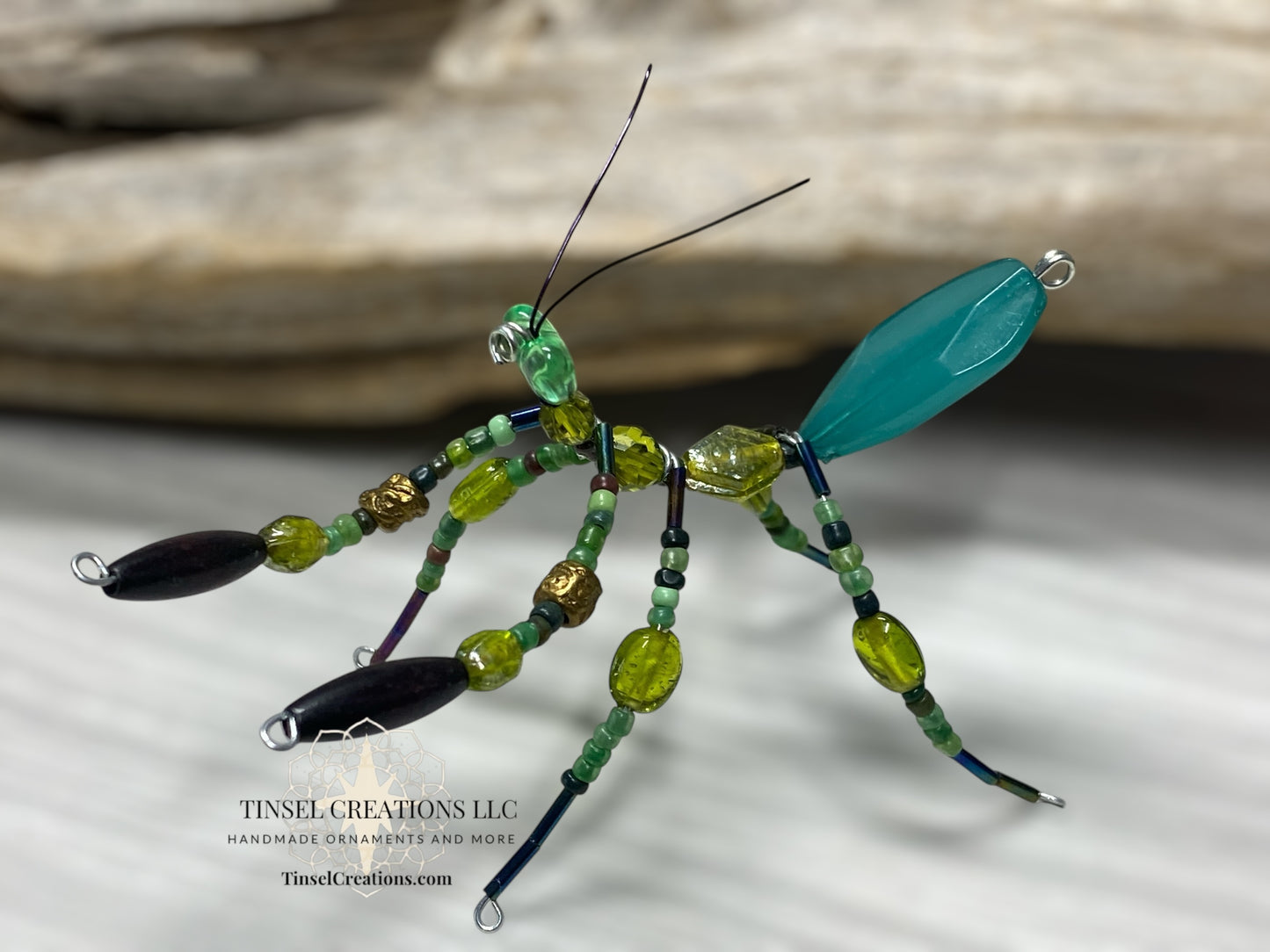Brown morph Green Mantis